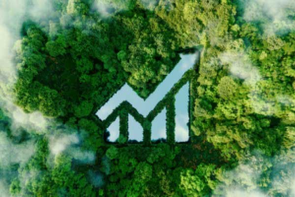 政治压力下，日本或“硬刚”美国：要求取消25%关税